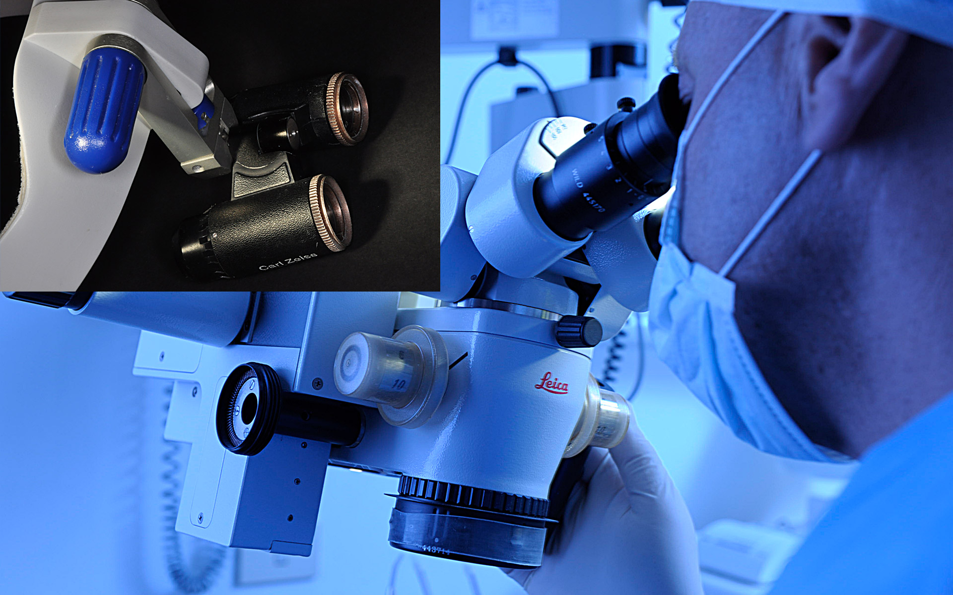Microscopio e sistemi prismatici